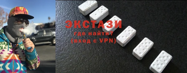 индика Богородск