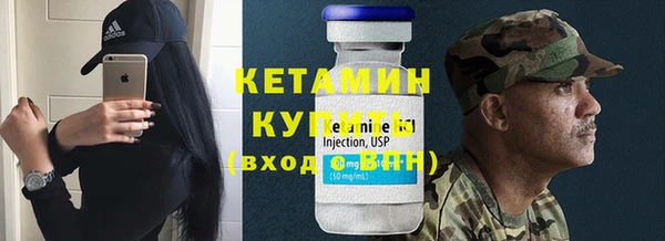 шишки Богородицк