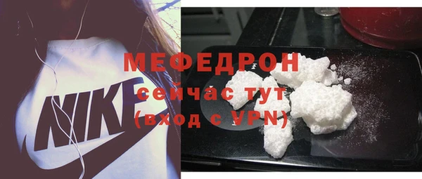 индика Богородск