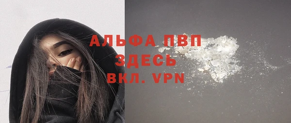 шишки Богородицк