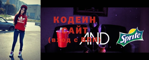 индика Богородск