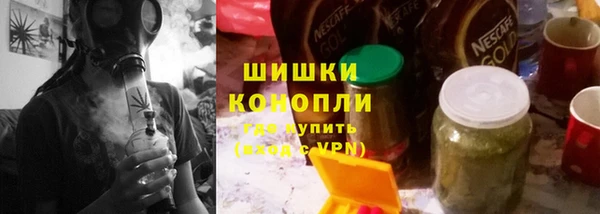 шишки Богородицк