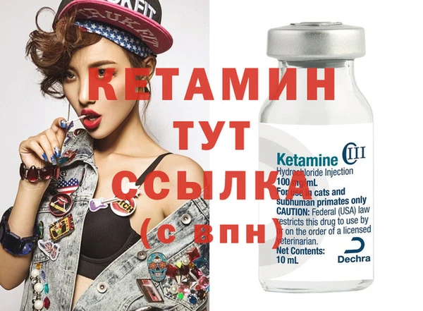 шишки Богородицк