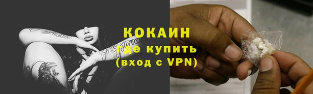 индика Богородск