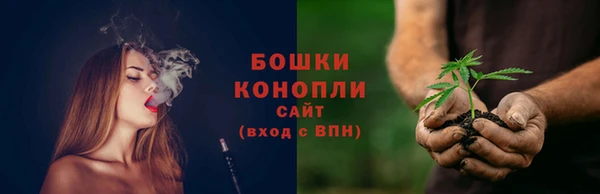 индика Богородск