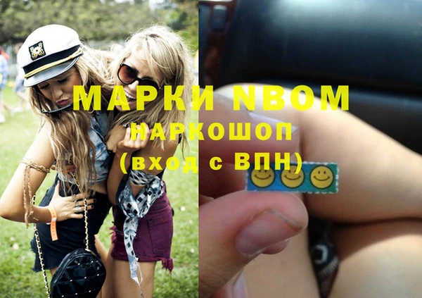 шишки Богородицк