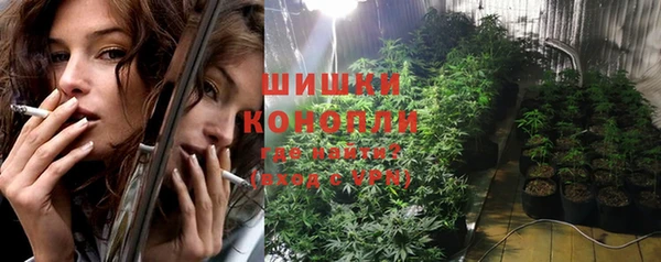 шишки Богородицк