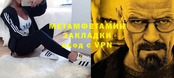 шишки Богородицк