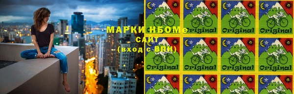 шишки Богородицк