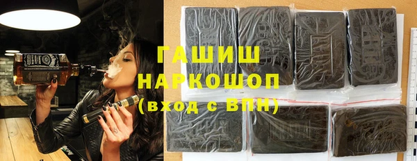 индика Богородск