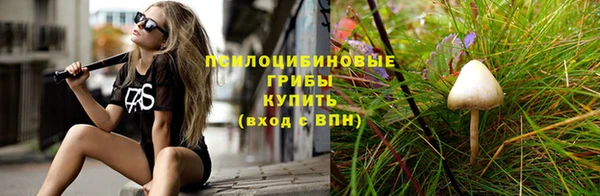 индика Богородск
