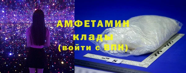 индика Богородск