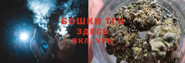 индика Богородск