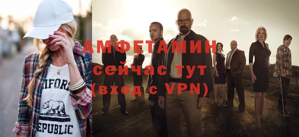 индика Богородск