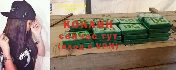 шишки Богородицк