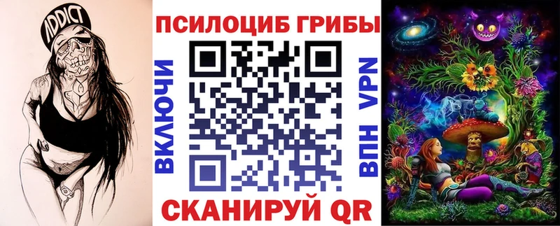 купить наркоту  Дмитров  Псилоцибиновые грибы Psilocybine cubensis 